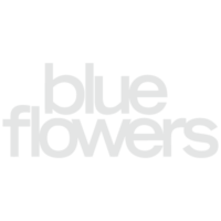 Blue Flowers